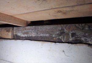 床下の改善で家の寿命を延ばす10の方法教えます！